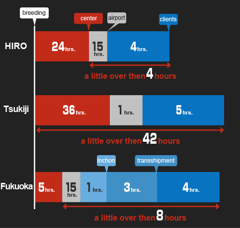 time graph from breeding to clients