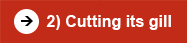 Cutting its gill 