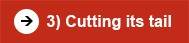 Cutting its tail